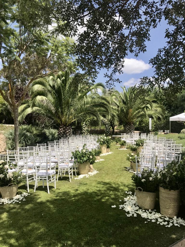 Ceremony with aisle Palm Trees